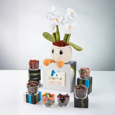 Dulce Capricho con Mini Orquídea de Peluche y Botanas  25748
