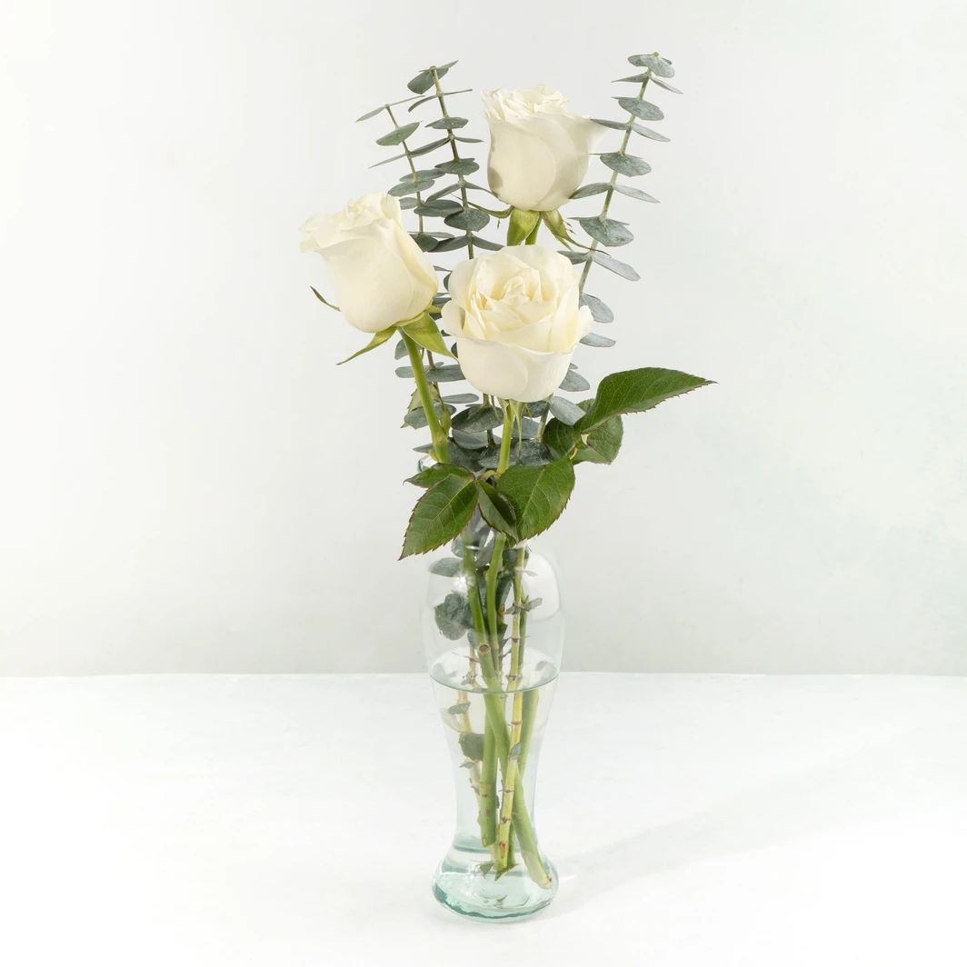 White Roses Arrangement 25755