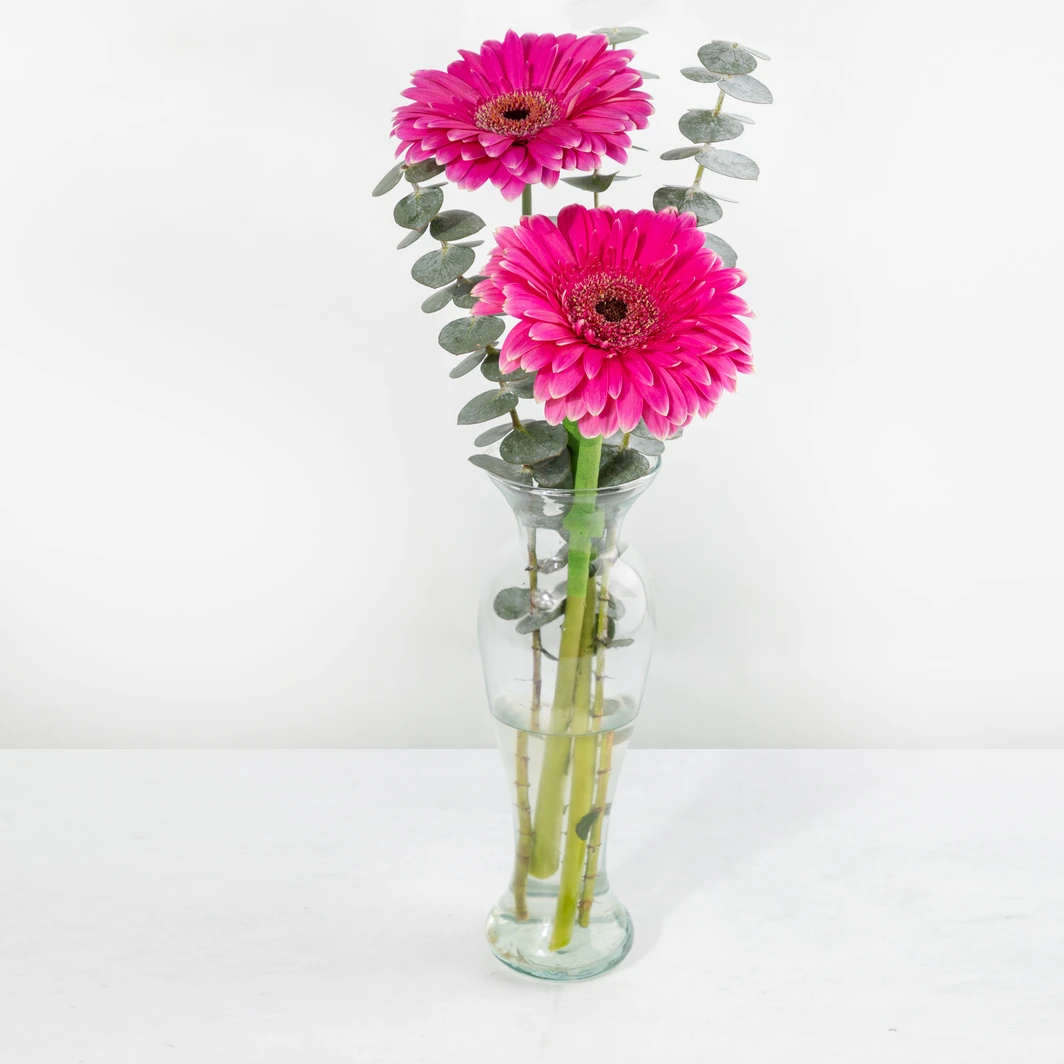 Arreglo de Gerberas Rosa Intenso 25758