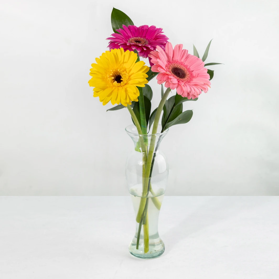 Arreglo Colorido de Gerberas 25760