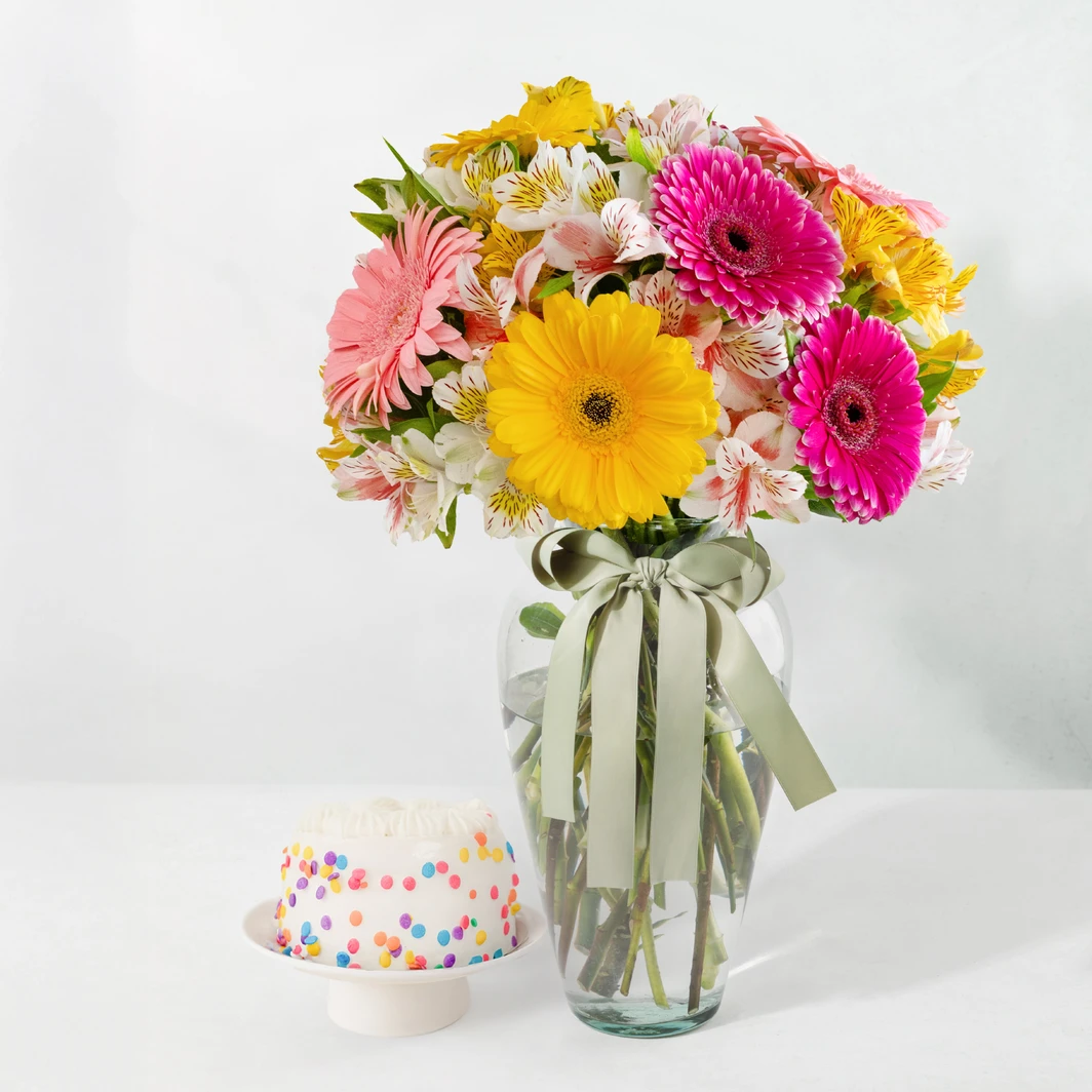 Multicolor Gerberas and Lavalle’s Mini Vanilla Cake 25773