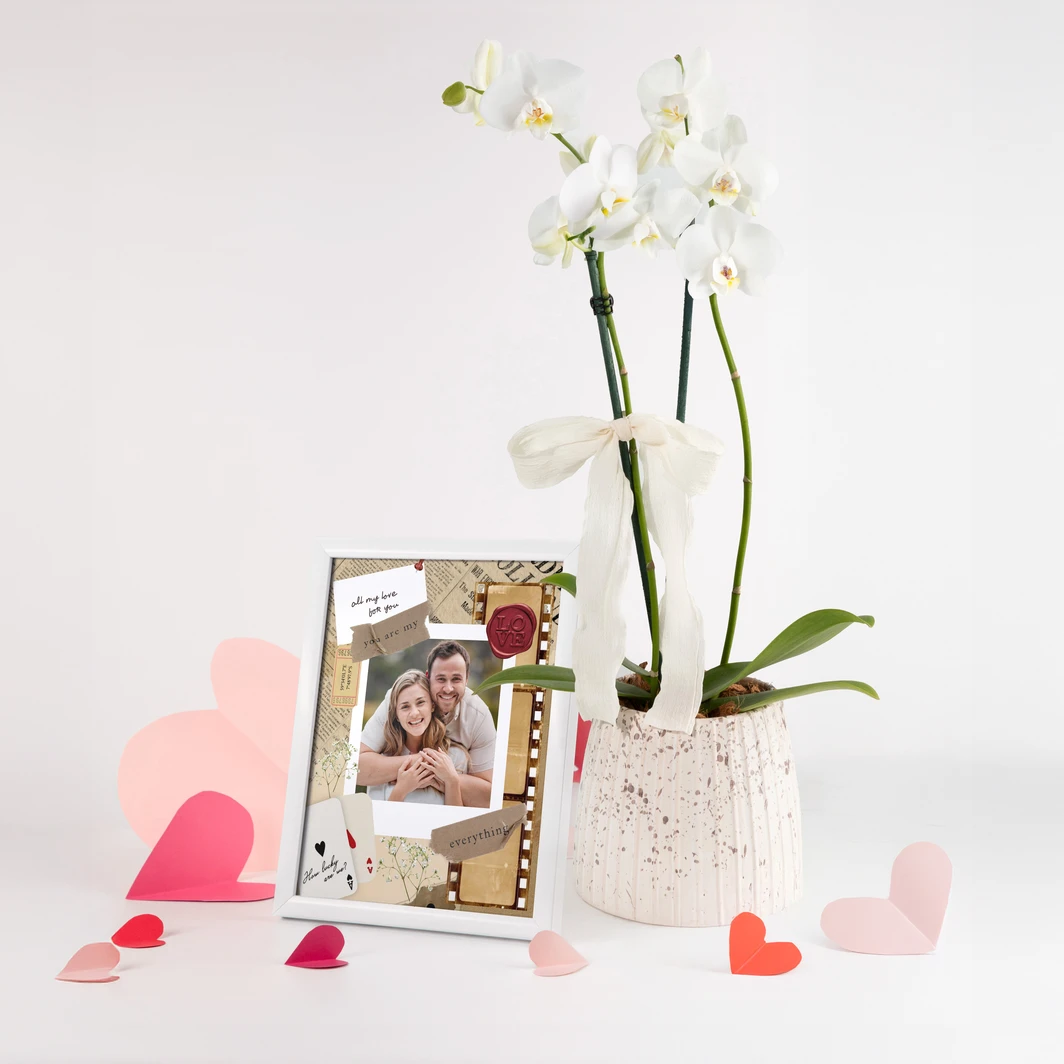 Orquídea Blanca con Marco Blanco "Scrapbook" 25776