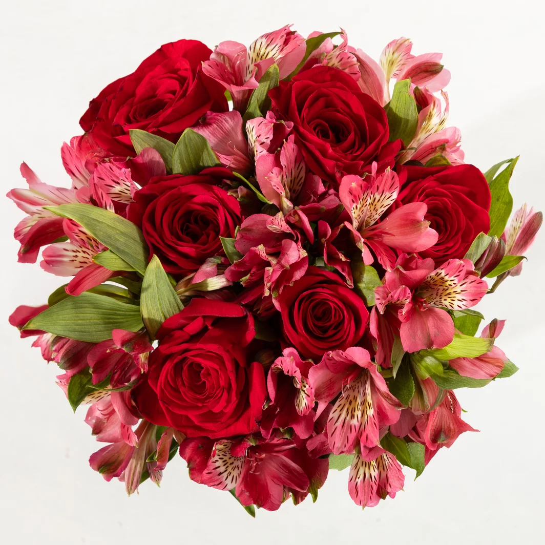 Ramo 6 rosas rojas 25905