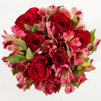 Ramo 6 rosas rojas 25905