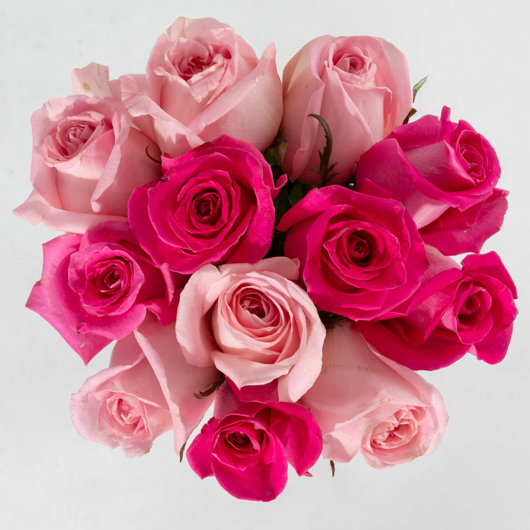 Ramo de Rosas claro y Rosa intenso 25907