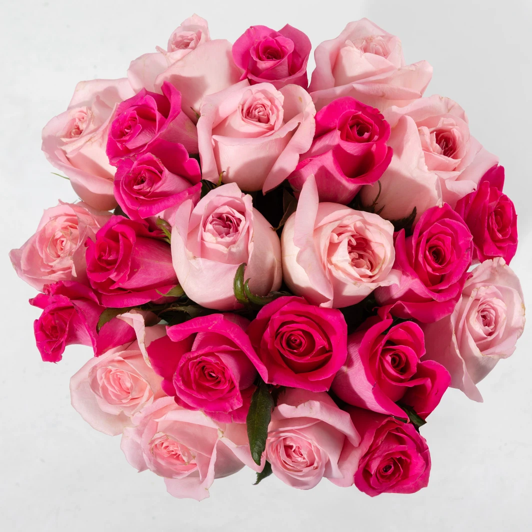 Ramo de 24 rosas claro y rosa intenso 25908