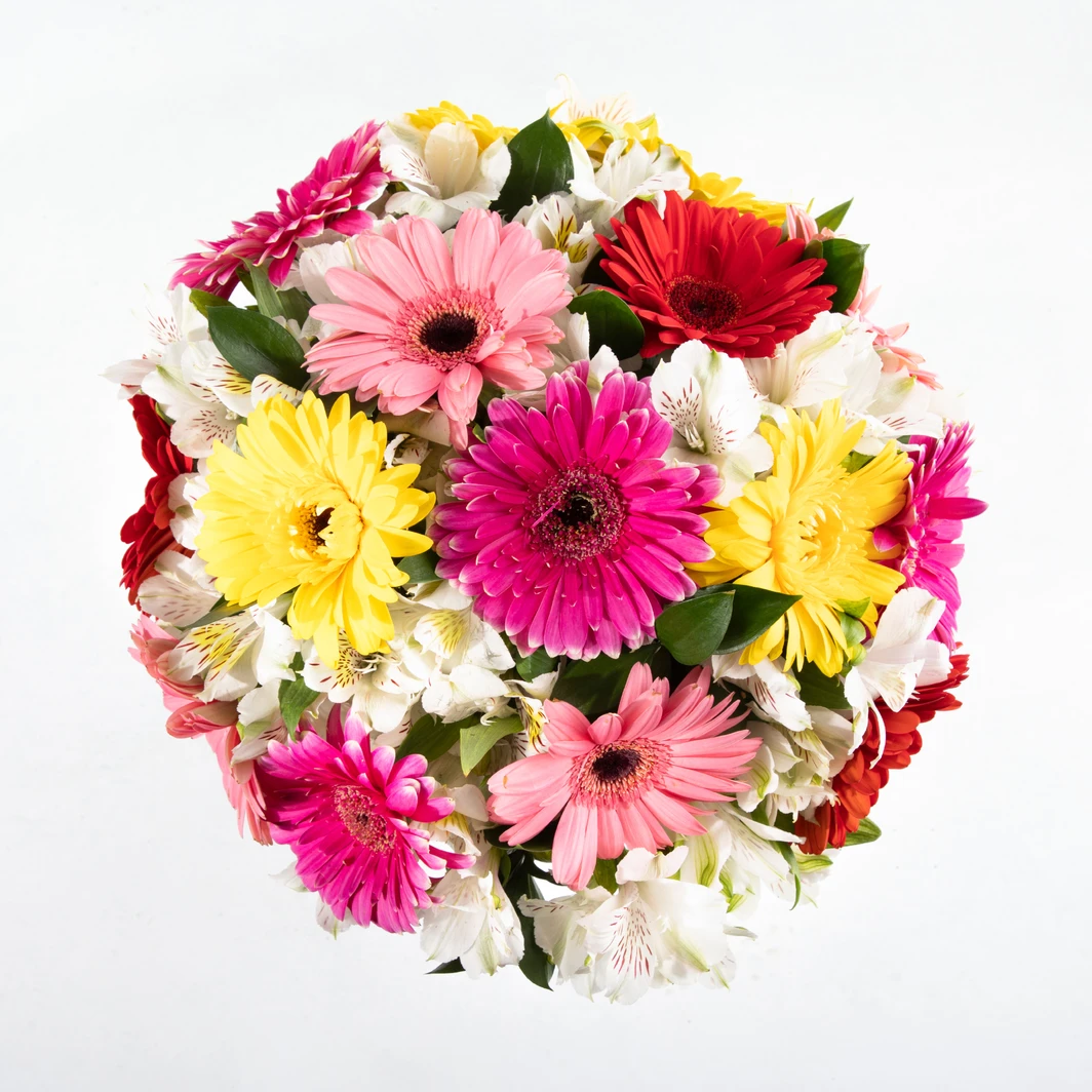 Gerberas coloridas en ramo 25909