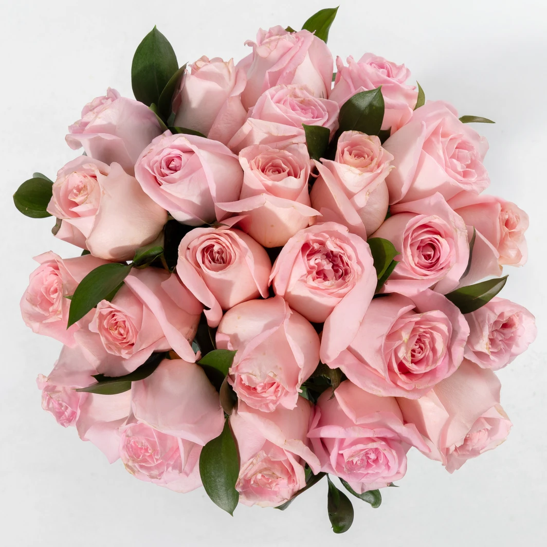 Bouquet of 24 Light Pink Roses 25915
