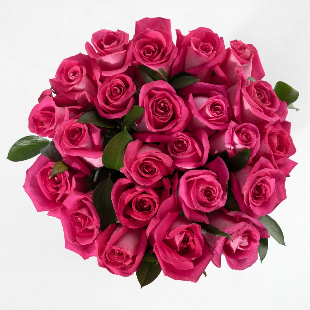 Bouquet of 24 Fuchsia Roses 25917