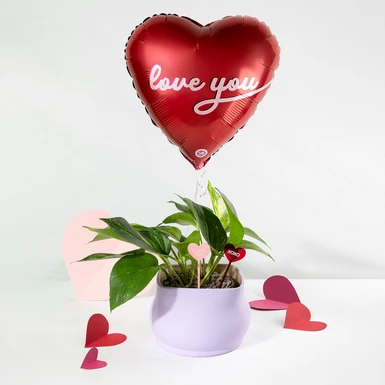 Planta de la Fortaleza con Globo "Love you" 26146