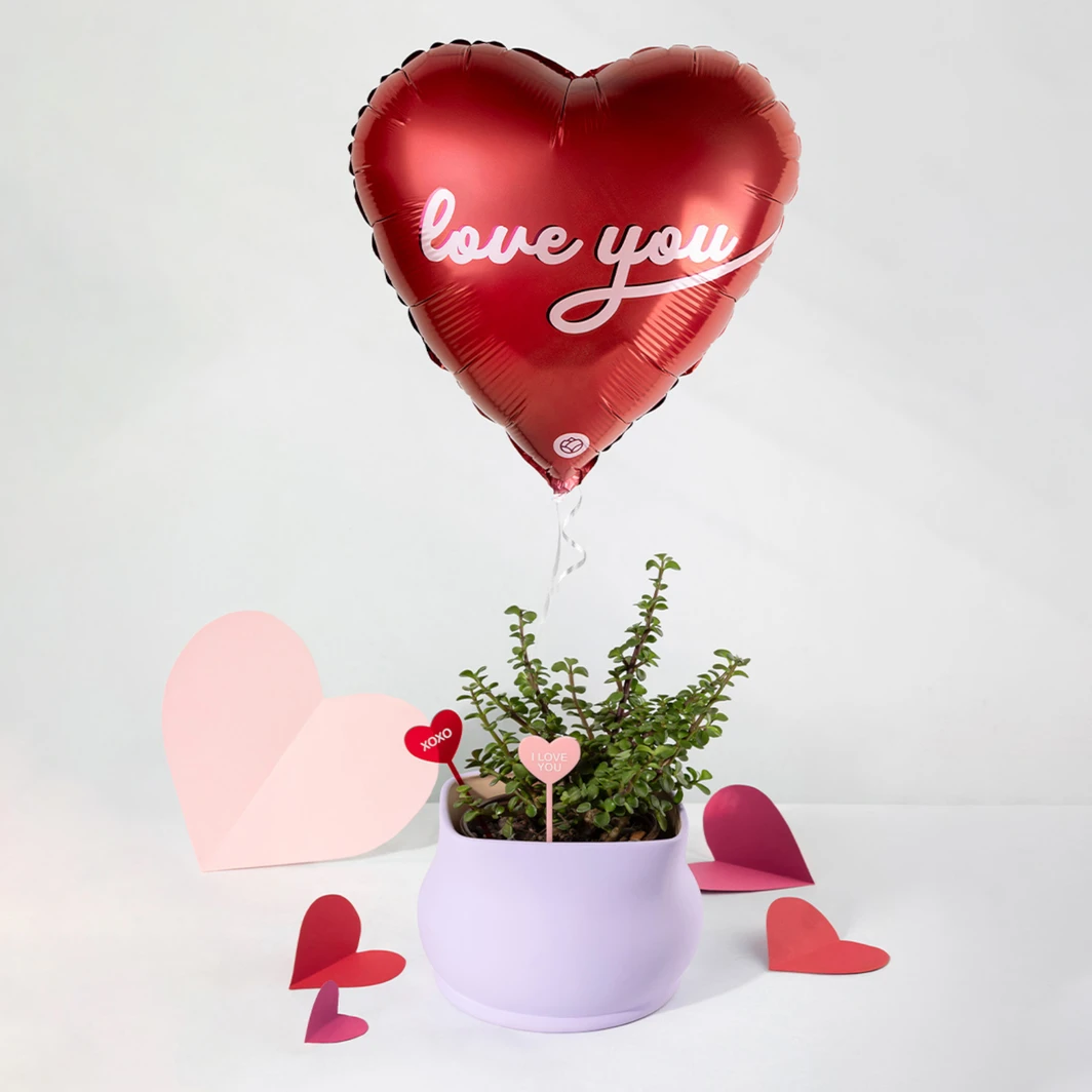 Árbol de la Abundancia con Globo "Love You" 26147