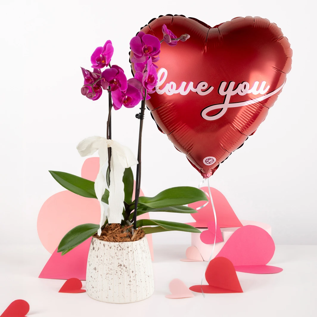 Orquídea Morada con Globo "Love You" 26175