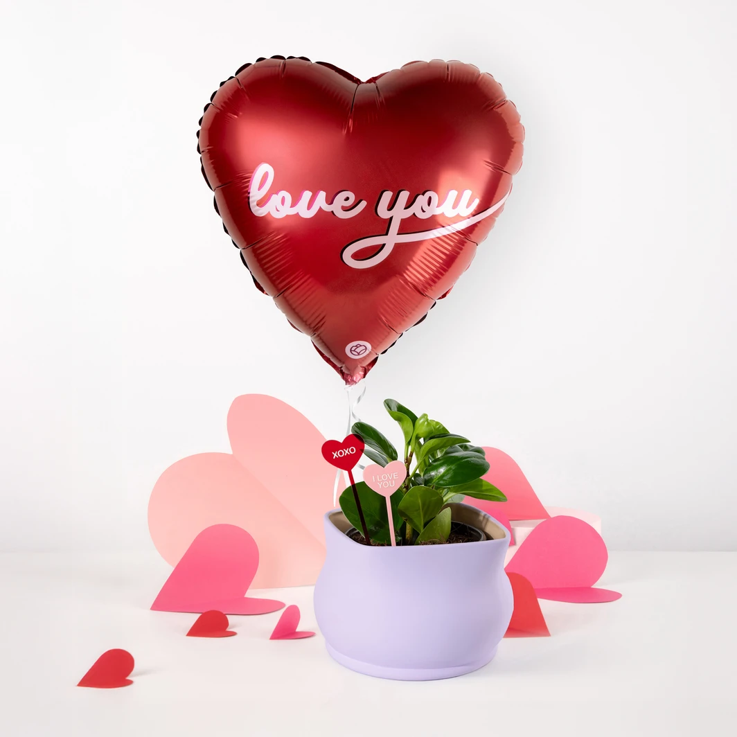 Planta del Éxito con Distintivo ''Love You'' con Globo ''Love You'' 26290