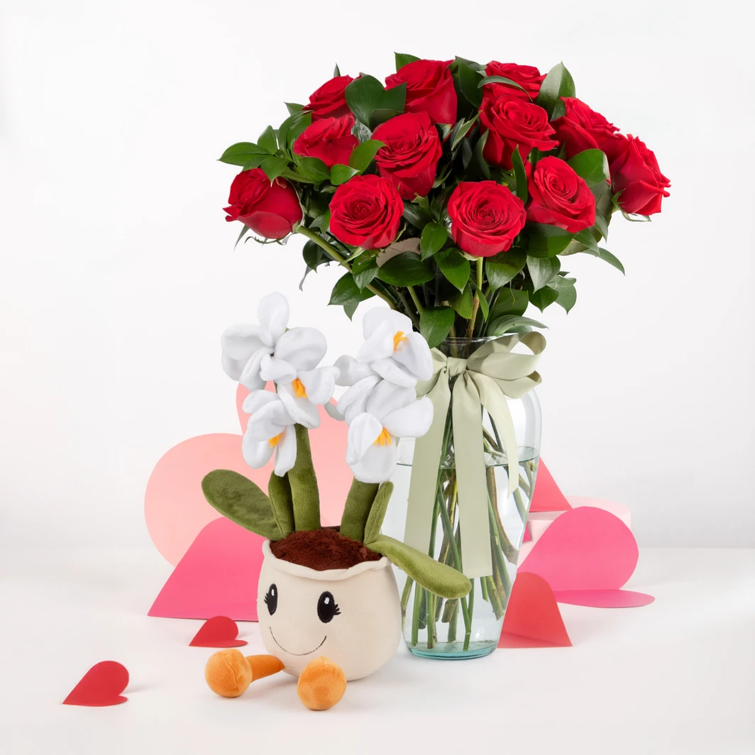 12 Rosas Rojas con Peluche de Qrquídea 26318