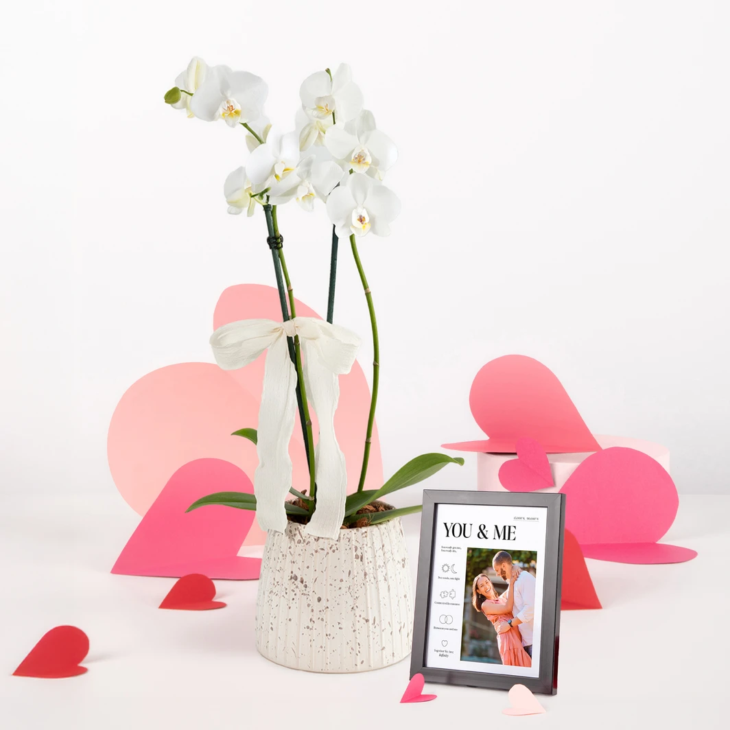 Orquidea Blanca con Marco You and Me 26323