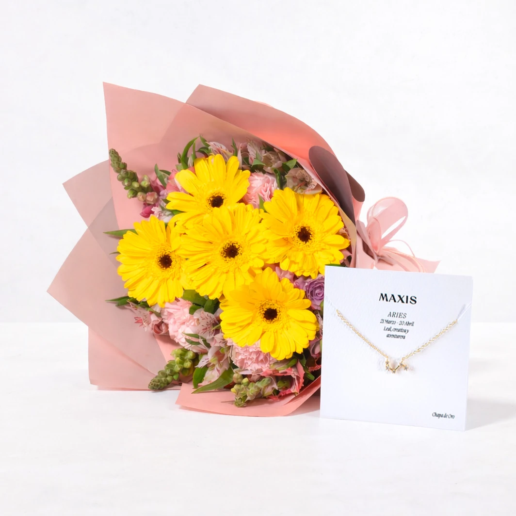 Cumpleaños Soleado: Gerberas y Claveles con Collar "Aries" 26420