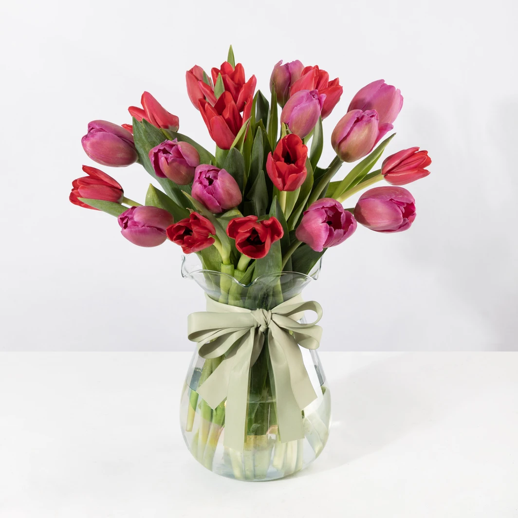 20 Red and Fuchsia Tulips 26443