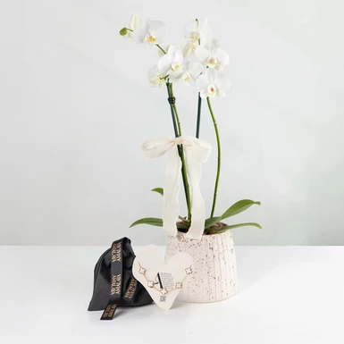 Momento Puro con Orquídea Blanca y Pulsera Trébol Blanco "Amalaya" 26457