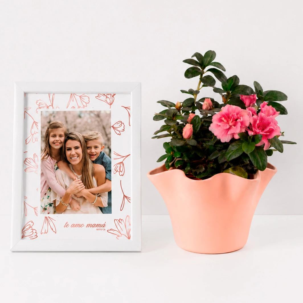 Mama Plant and Frame Kit 26805