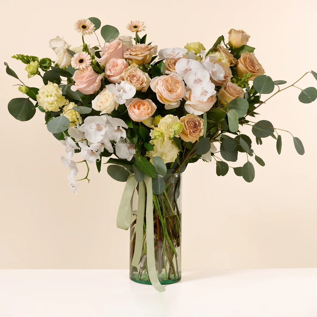 Champán de Rosas con Orquídea 26845