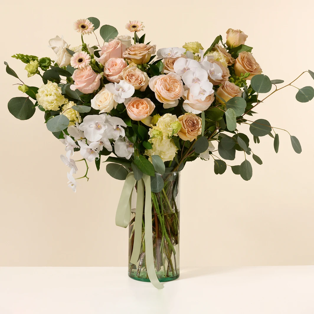Champán de Rosas con Orquídea 26845