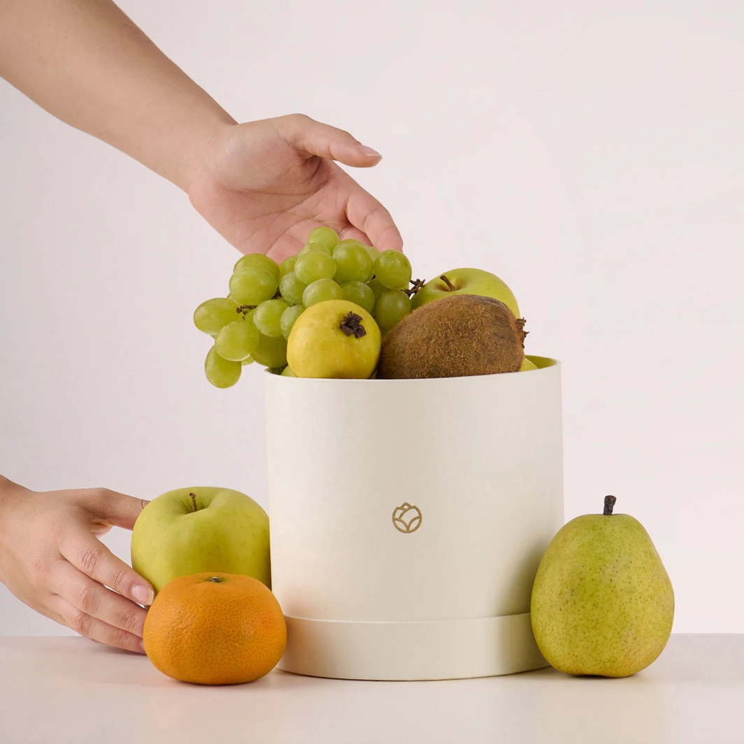 Canasta de Frutas 26898