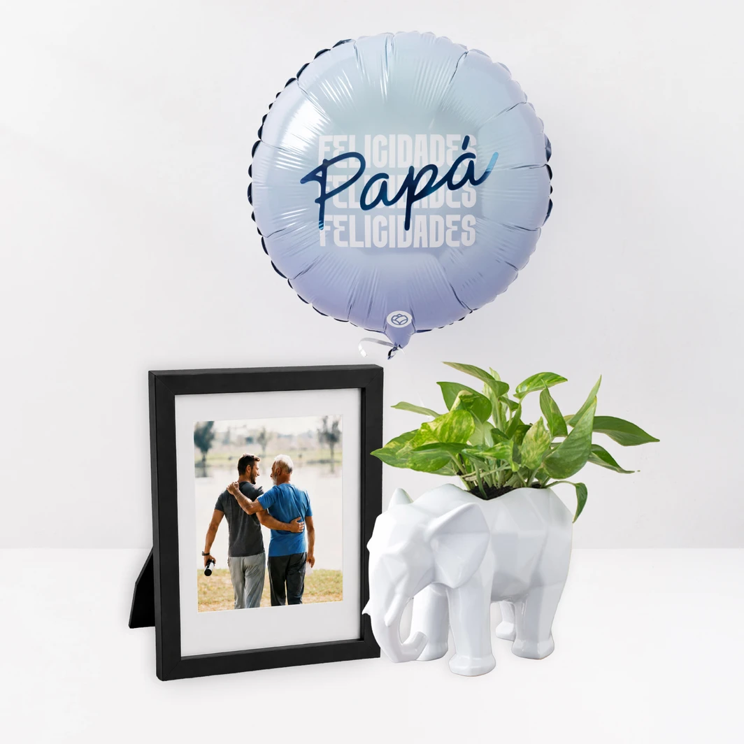 Planta Fortaleza con Marco Personalizado y Globo 26926