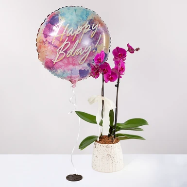 Orquídea Morada en Maceta de Cerámica y Globo Happy Bday! 27017