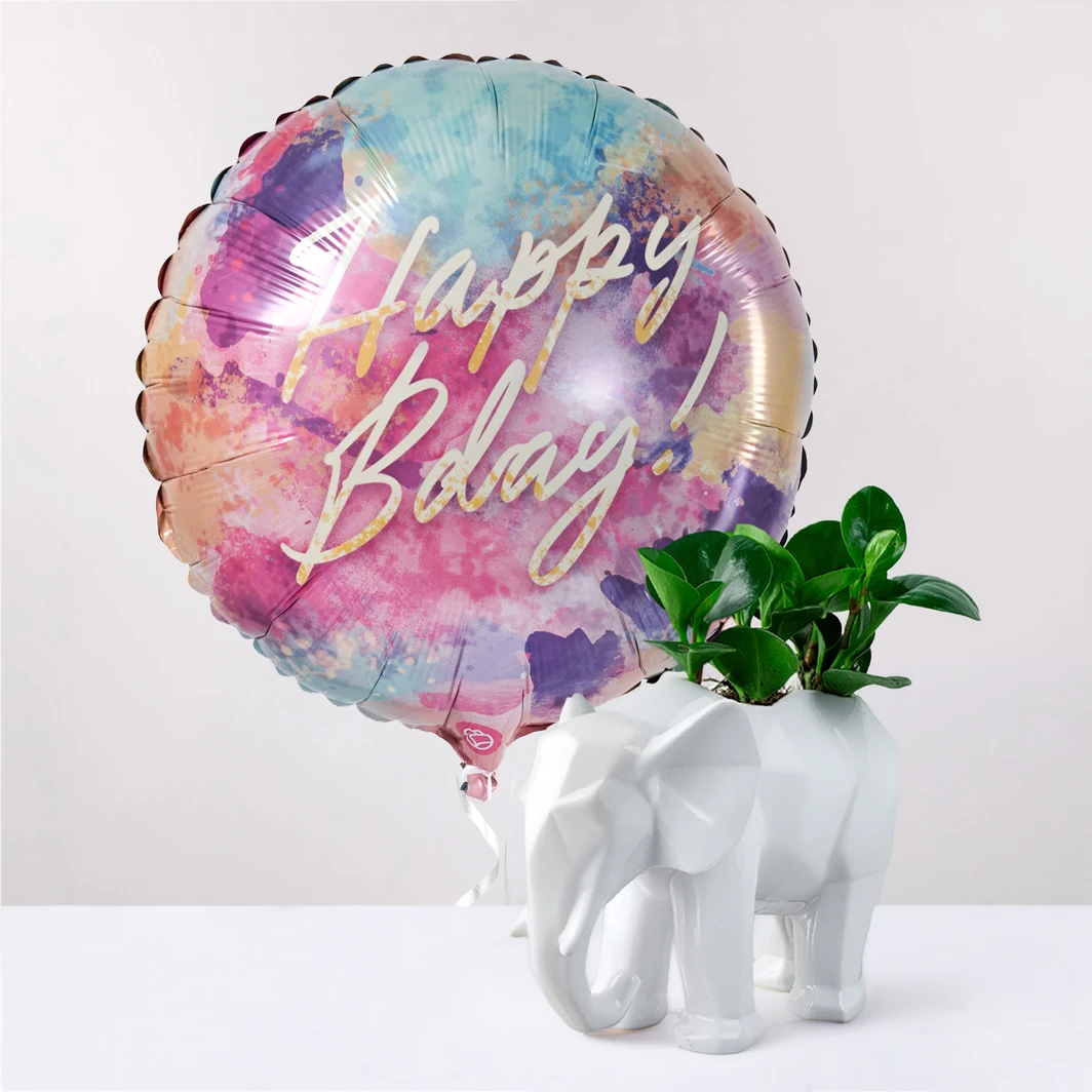 Peperomia Plant and Happy Bday! Balloon Gift Set 27061