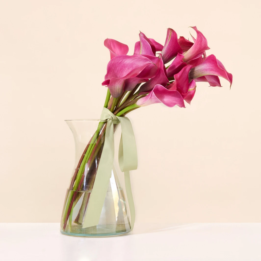 20 Calla Lilies Fucsias 27353