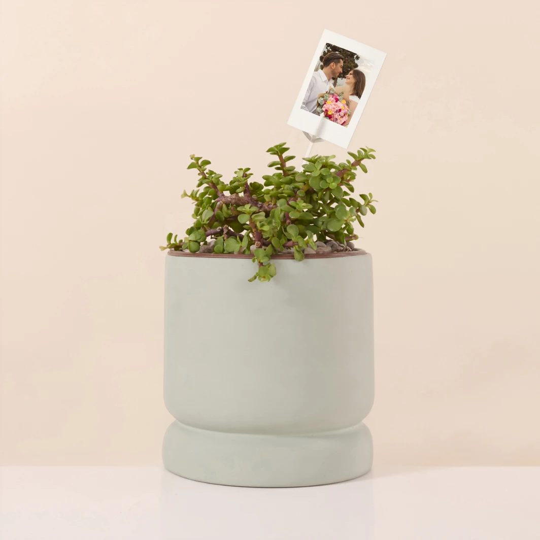 Personaliza Árbol de la Abundancia con Polaroid 27358