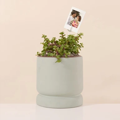 Personaliza Árbol de la Abundancia con Polaroid 27358