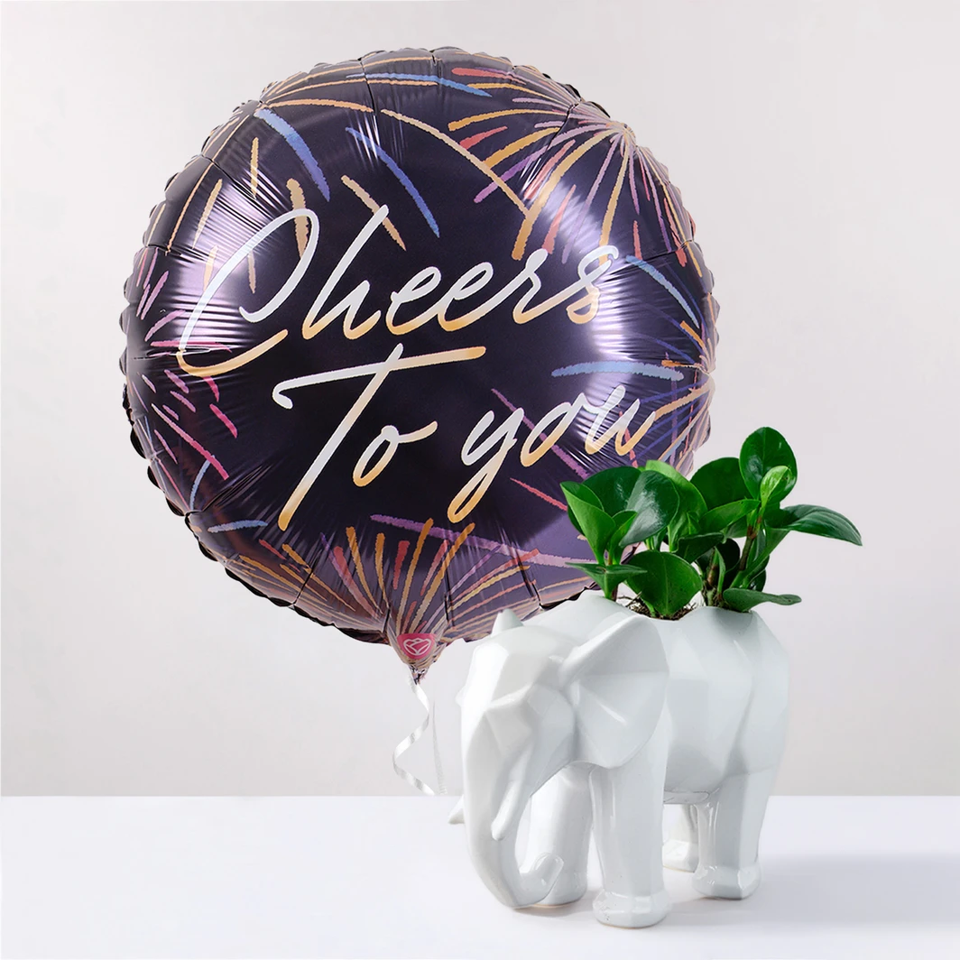 Kit Planta del Éxito con Globo Cheers to You 27704