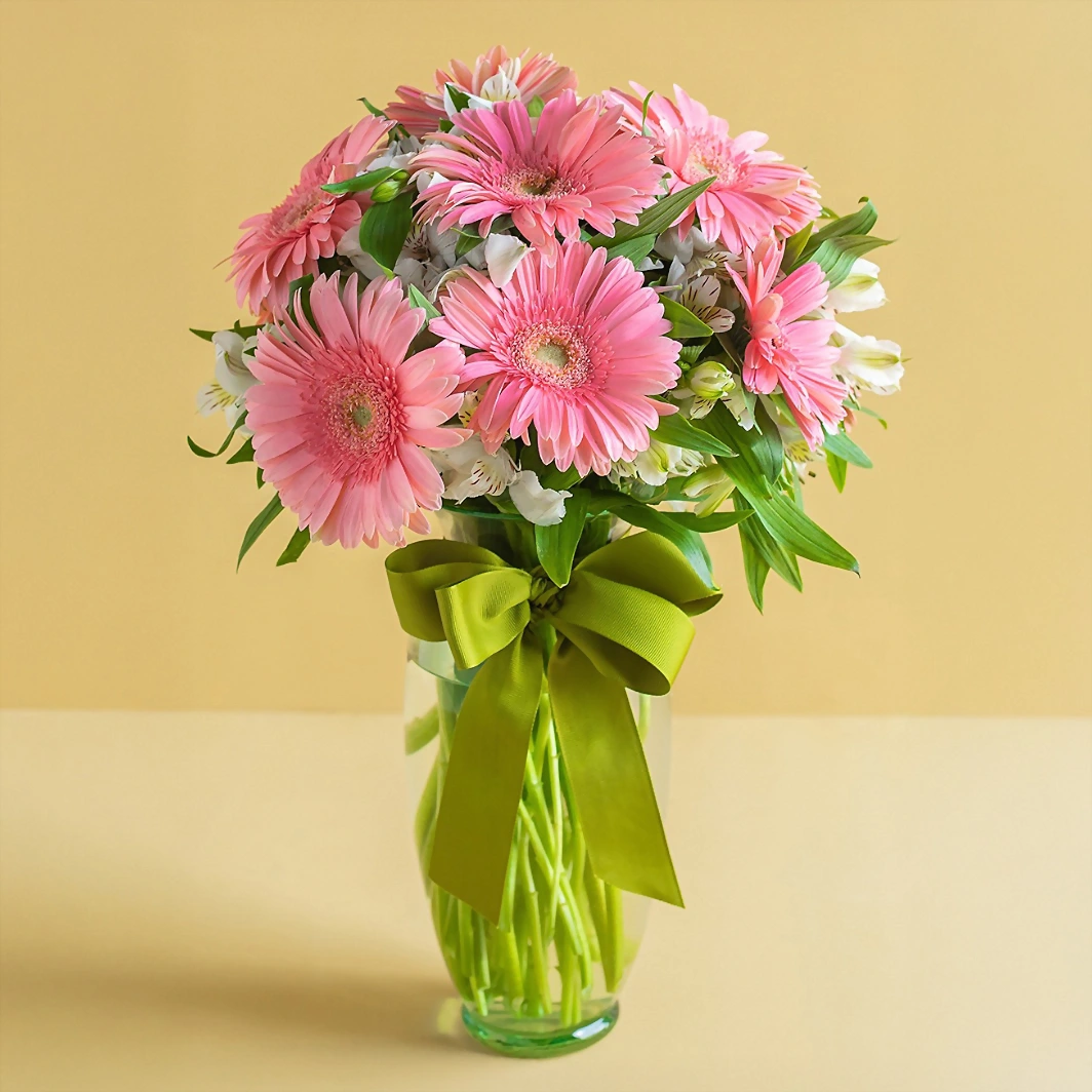 10 Gerberas Rosas 2369