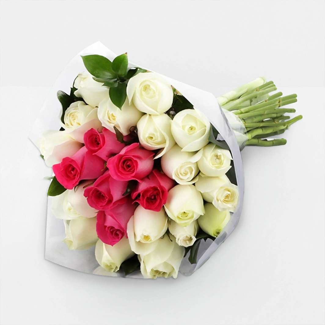 Ramo de 24 Rosas Blancas y Rosas 2536