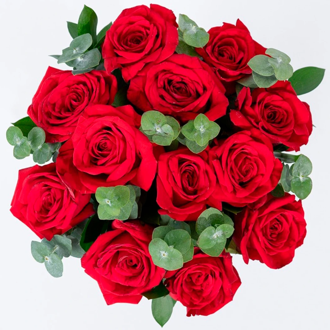 Ramo de 12 Rosas Rojas 2571