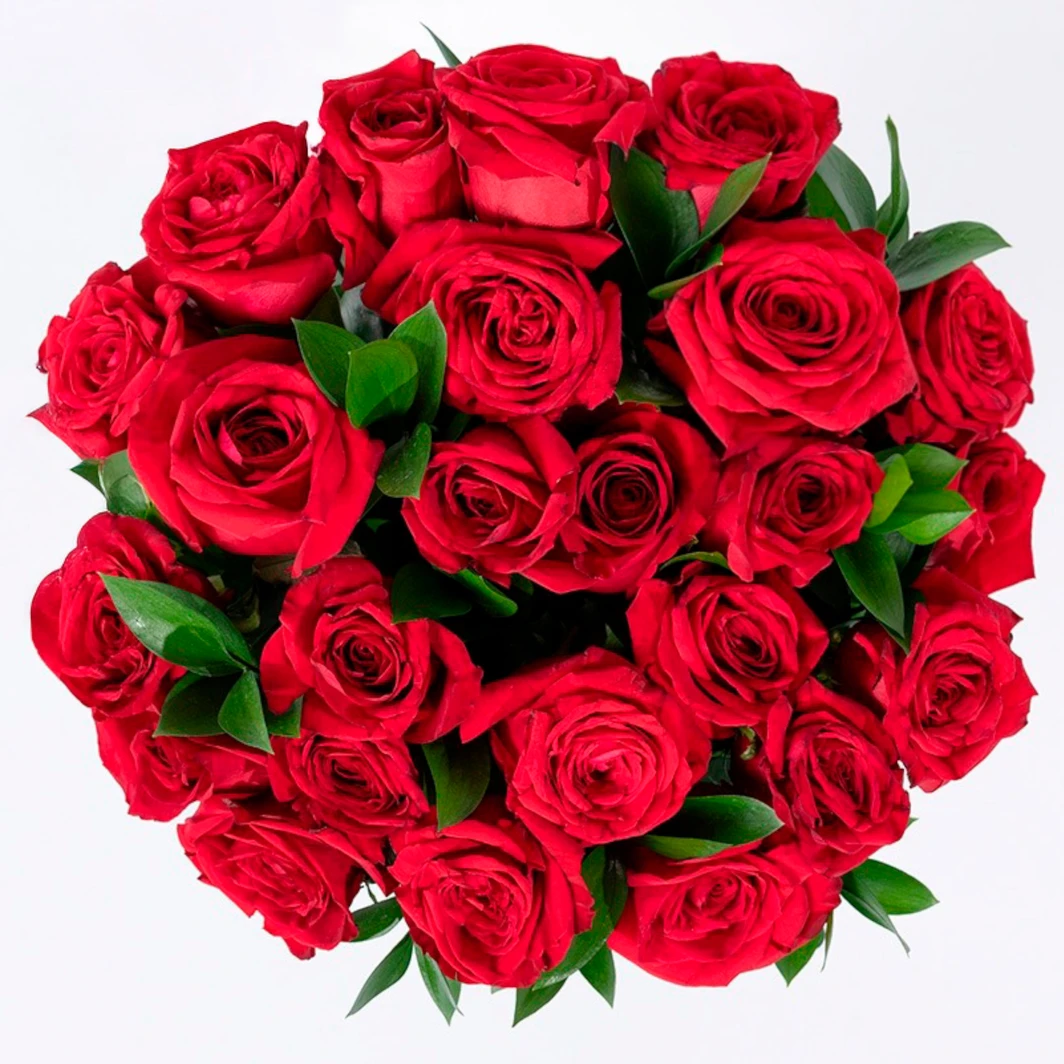 Ramo de 24 Rosas Rojas 2572