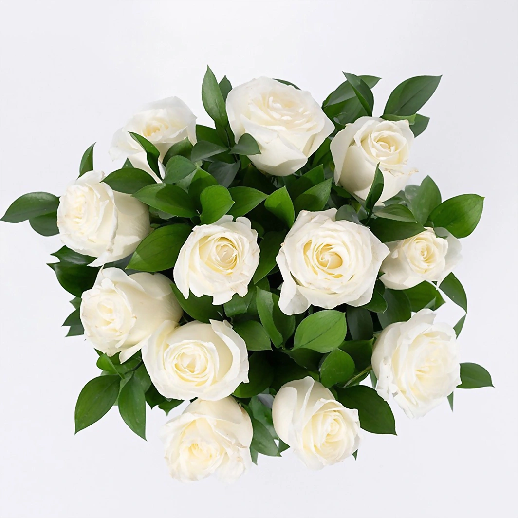 12 Rosas Blancas 140