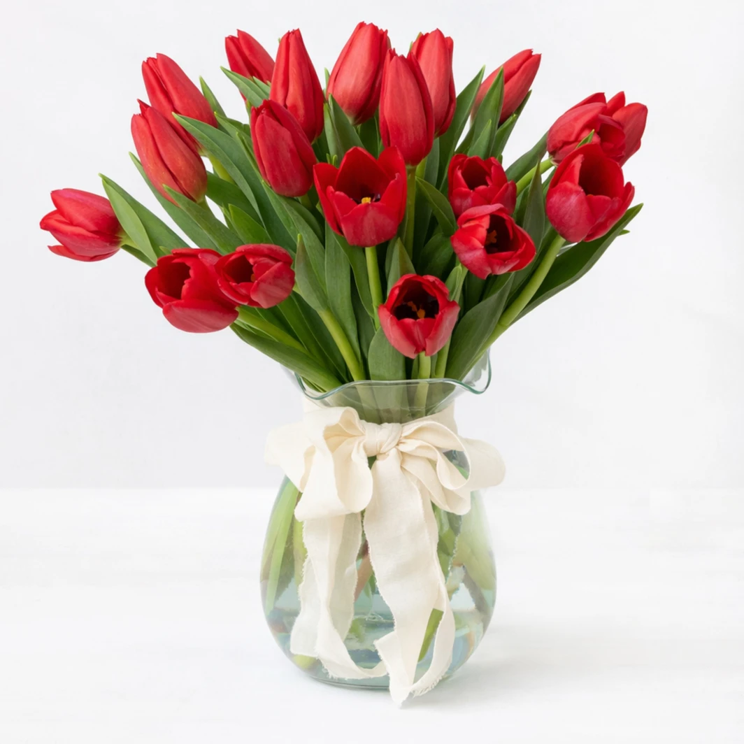 20 red tulips in vase 2660