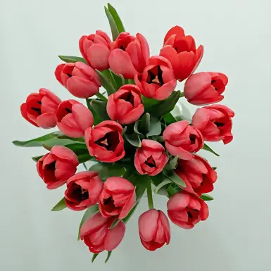 20 Tulipanes Rojos en Jarrón 2660