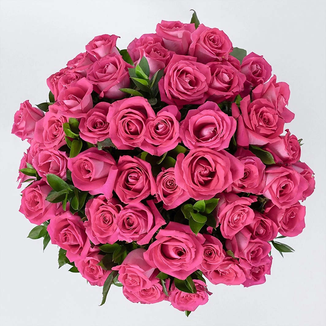 50 Rosas Rosa Intenso en Jarrón 2694