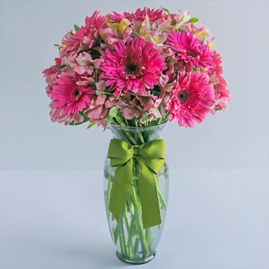 Amor Bonito con Gerberas 2991