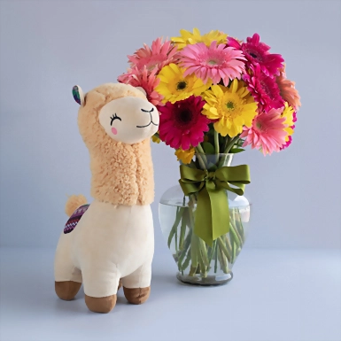 Llama de peluche con Gerberas Multicolor 3973