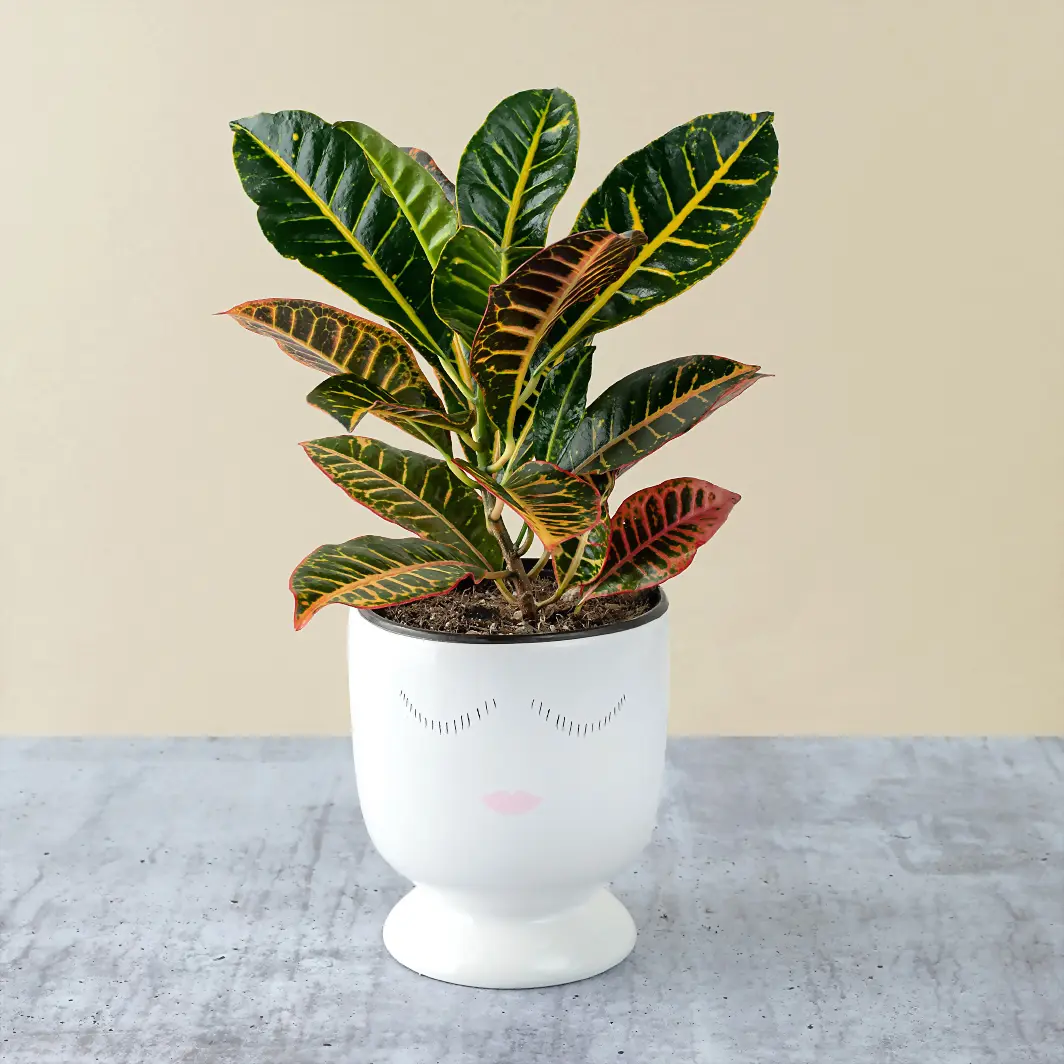 Decorative Plant in Ceramic Base 4417