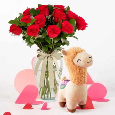12 Red Roses with Stuffed lama 4730