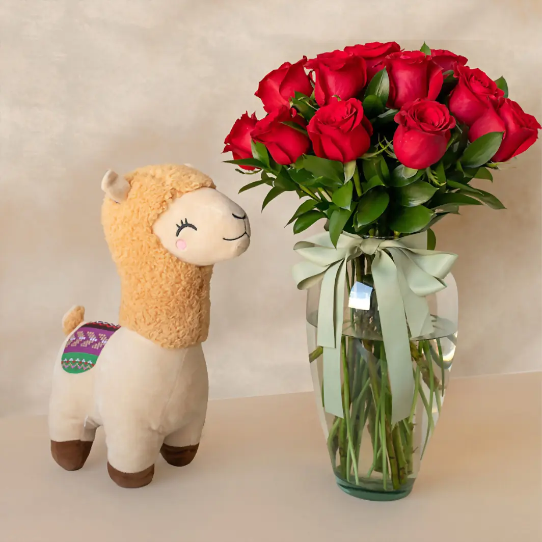 12 Red Roses with Stuffed lama 4730