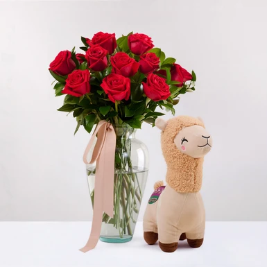 12 Rosas Rojas con Llama de Peluche 4730