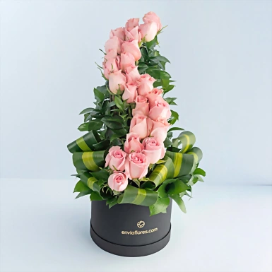 Amor infinito con 24 rosas rosas en caja 5006