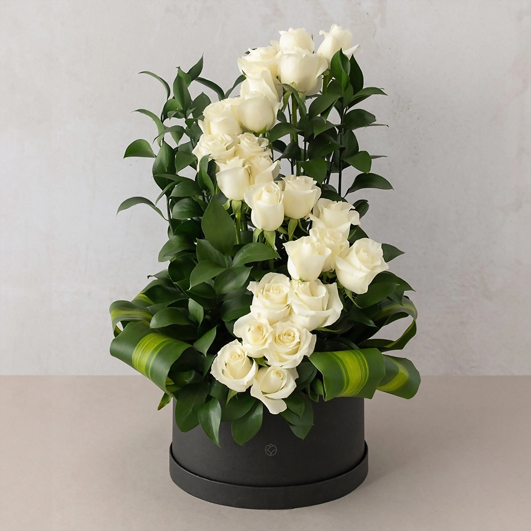 Amor infinito con 24 rosas blancas en caja 5164