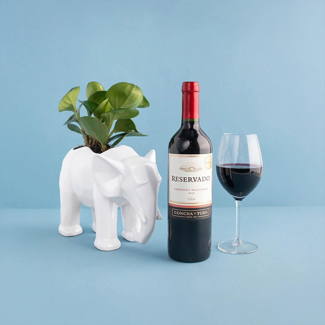 Kit del Éxito Planta con  Vino Tinto 5681